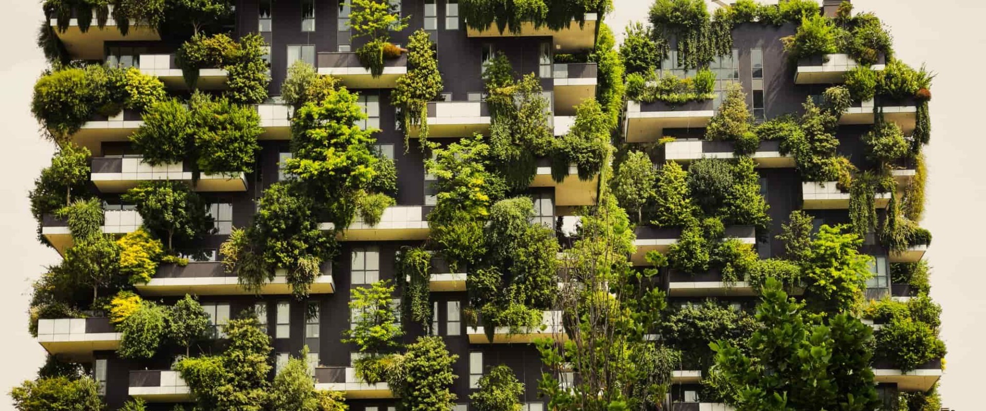 Reducing Carbon Footprint: Sustainable Building Practices for Architecture and Construction Management