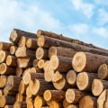 All About Wood and Timber: A Comprehensive Guide to Construction Materials