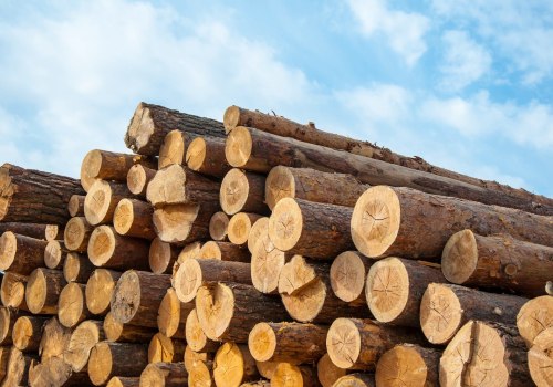 All About Wood and Timber: A Comprehensive Guide to Construction Materials